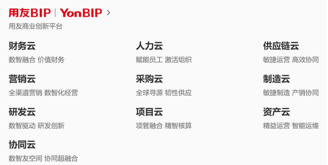 用友商業(yè)創(chuàng)新平臺BIP